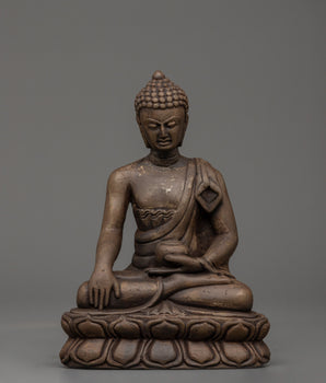 shakyamuni-buddha-buddhist-spiritual-master