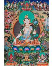 Sita Tara Healing Deity Thangka | A Revered Female Buddha | Seven-Eyed Goddess