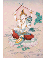 Samkusumita Tara  | 21 Tara of Surya Gupta Thangka