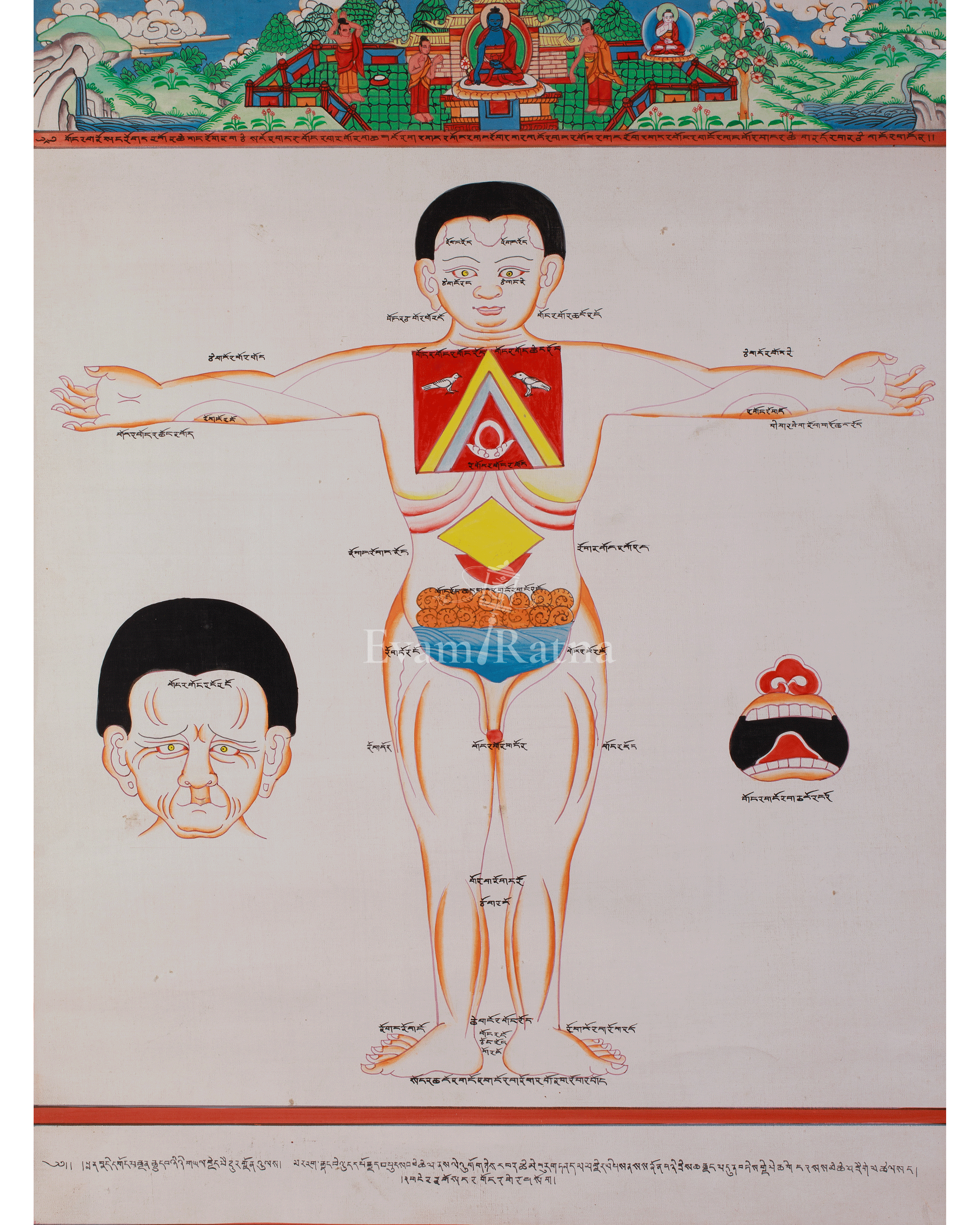 Sacred Human Anatomy Art