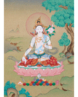 White Tara, Seven Eyes Goddess