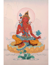 Raga Nisudana Tara | 21 Tara of Surya Gupta Thangka