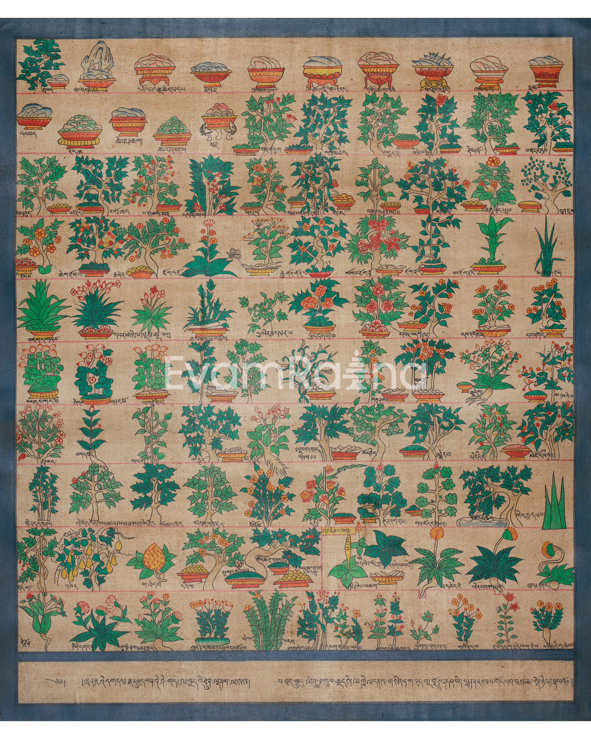 Himalayan Medical Plants Thangka