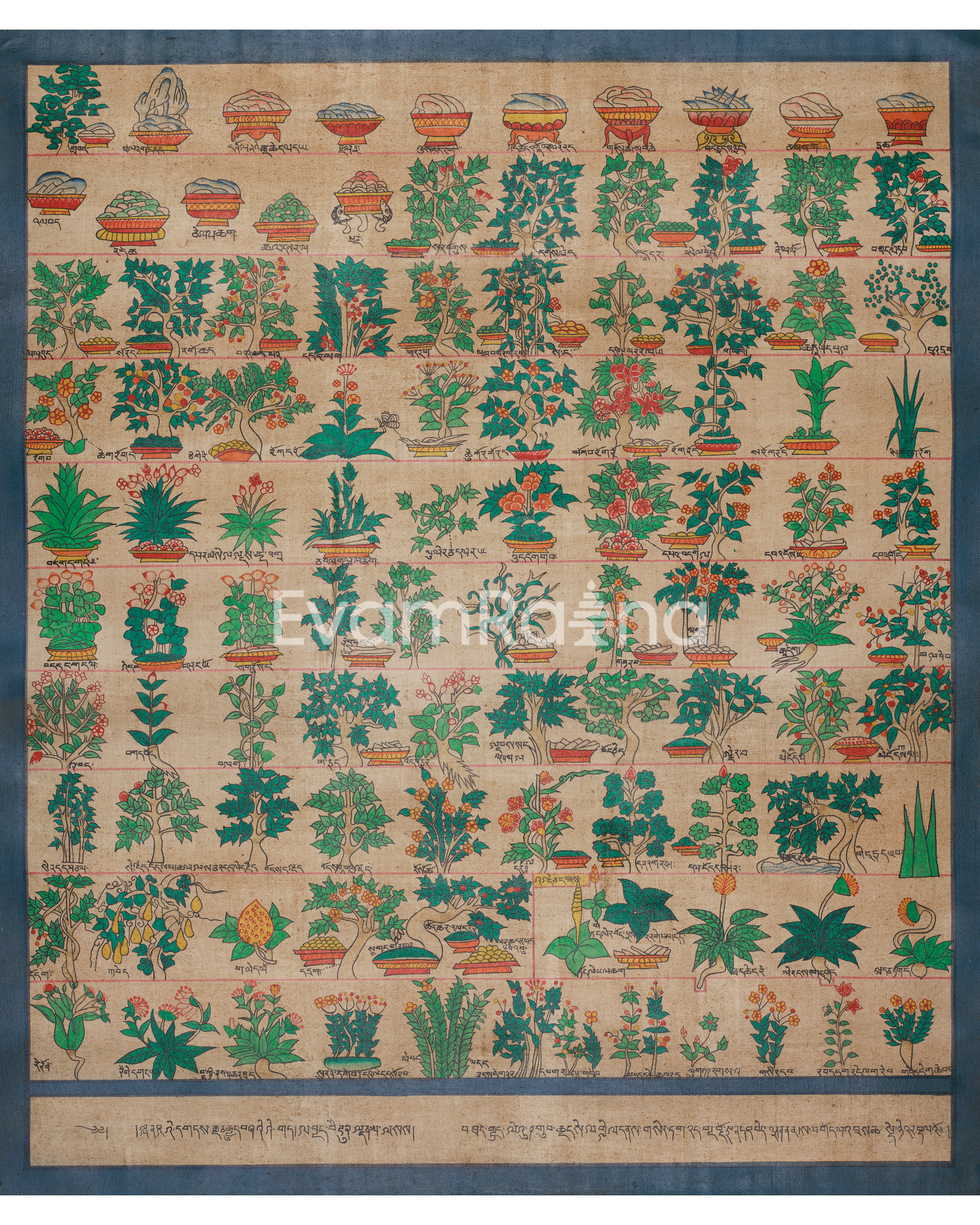 Himalayan Medical Plants Thangka
