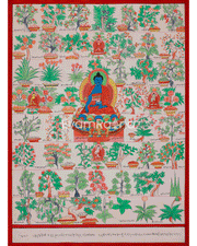 Medicine Buddha Healing Plants Thangka