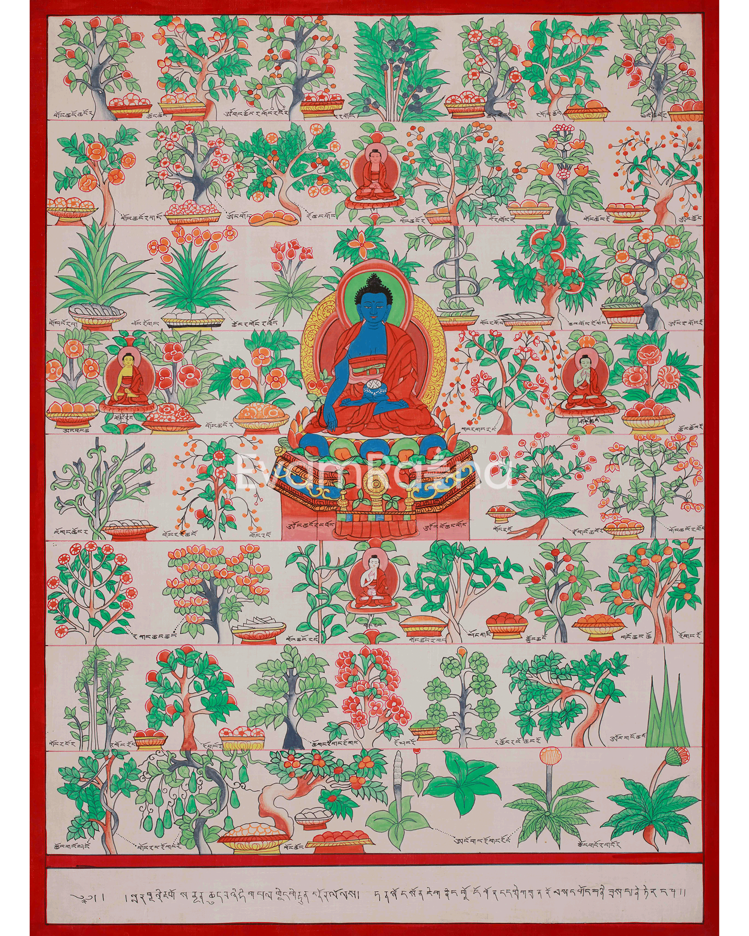 Medicine Buddha Healing Plants Thangka