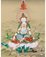 Two-Armed Chenrezig with Amitabha Thangka