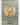 Traditional Gautam Buddha Thangka Painting |  Enlightened Buddha, Shakyamuni