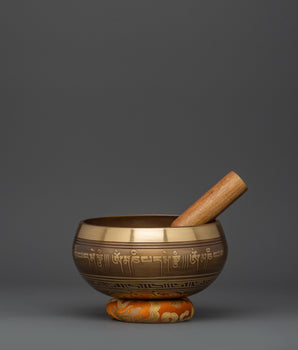  Sacred Sound Healing Instrument