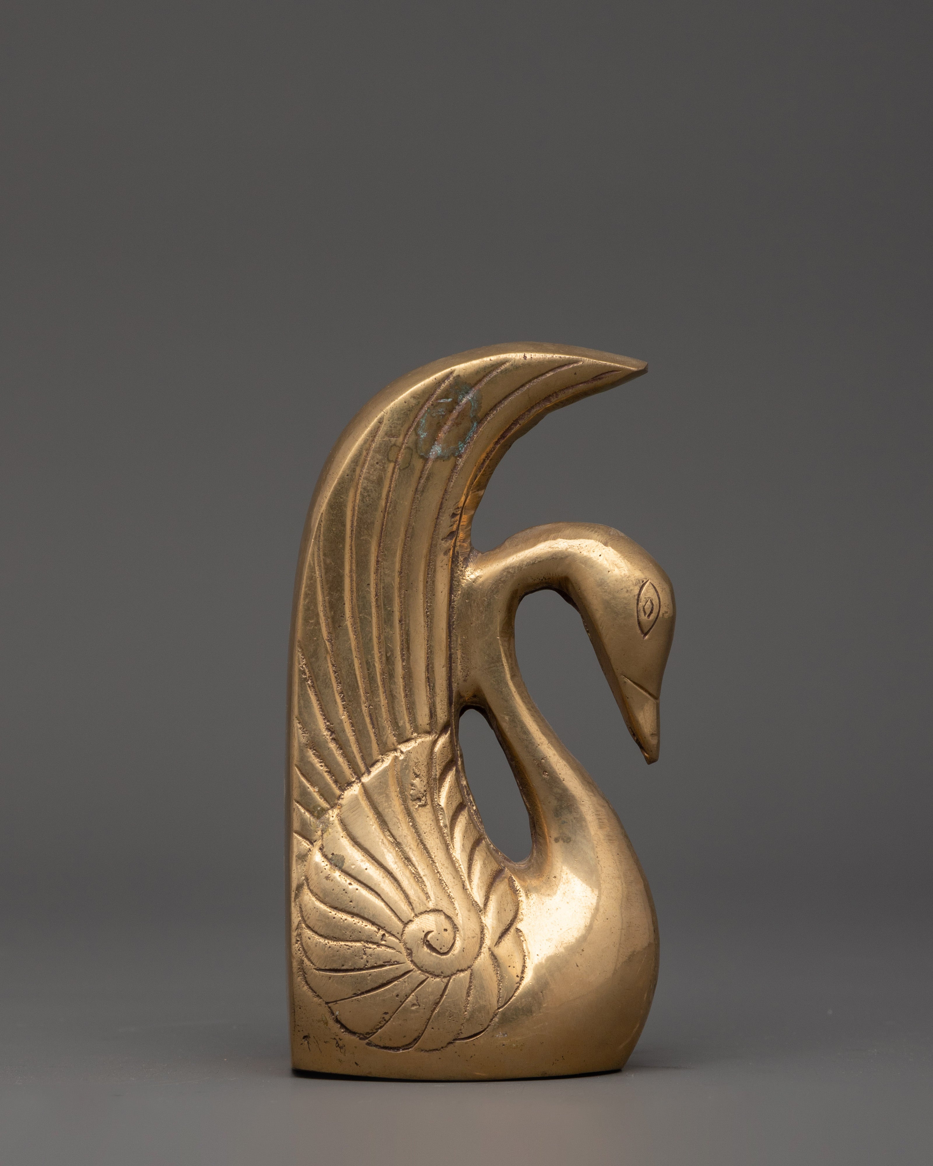 swan