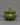 Serpentine Incense Burner 