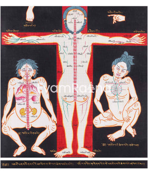 Ancient Depiction of Physical Form Used in Tibet