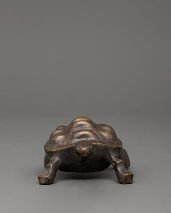 tortoise