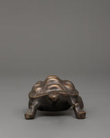 tortoise