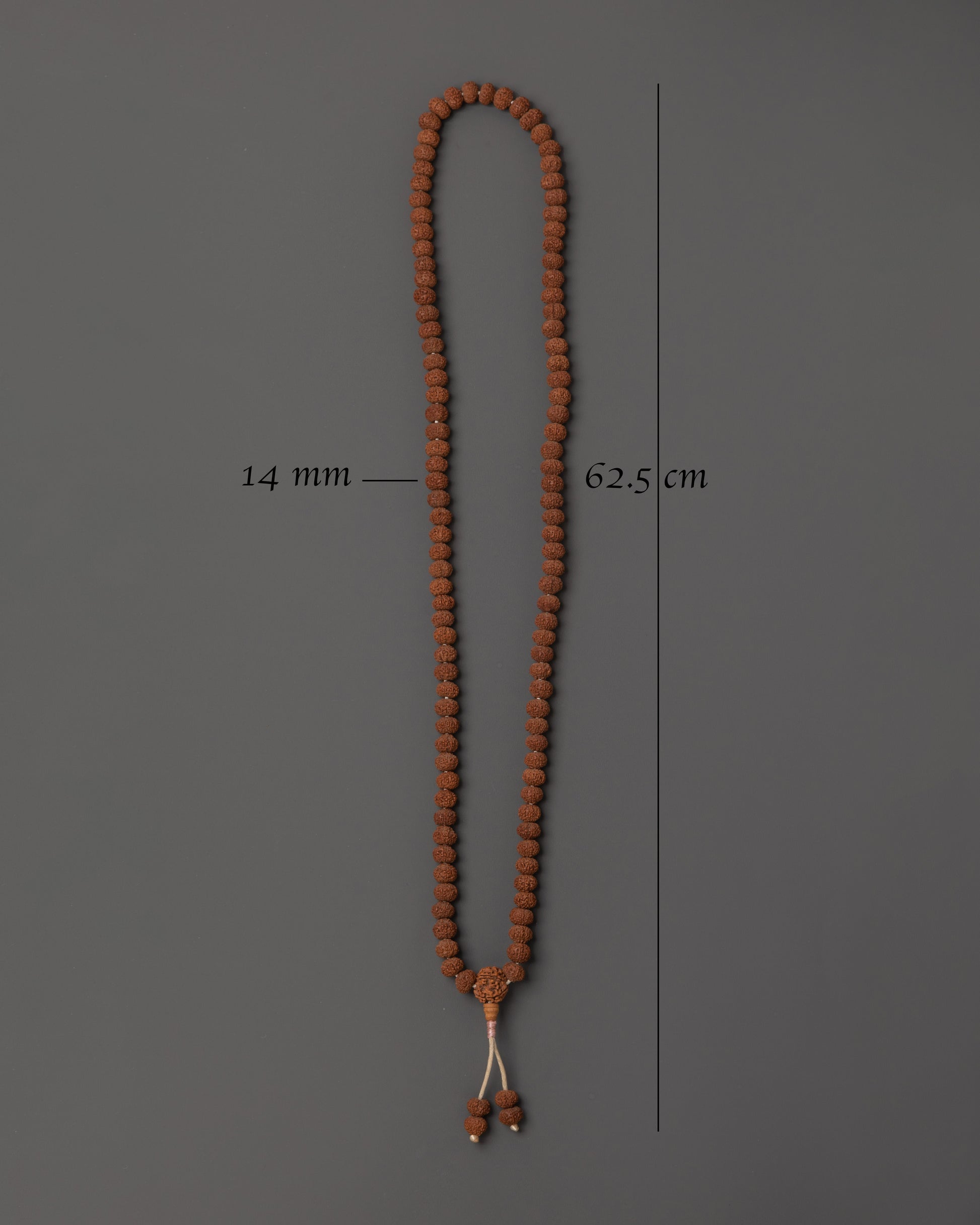 rudraksha