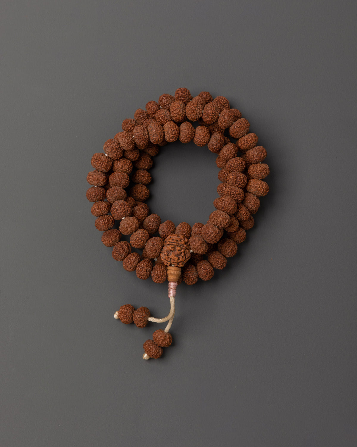 Rudraksha |  Prayer Beads