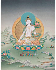Divine Longevity Goddess Sita Tara