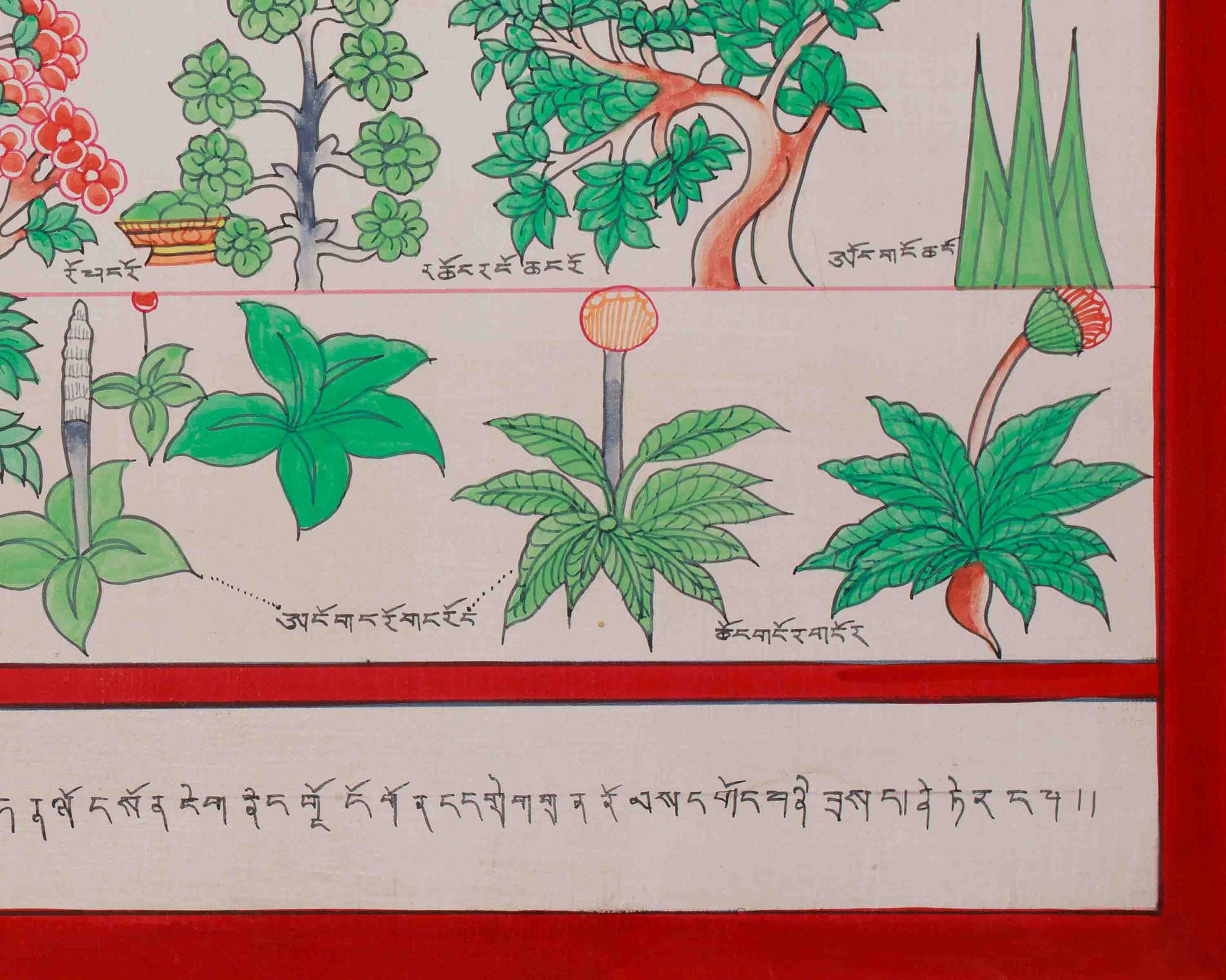 Medicine Buddha Healing Plants Thangka | Botanical Thangka