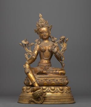 tara-arya