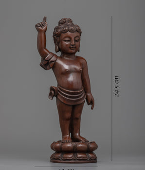 Baby Buddha | Embrace the Innocence and Wisdom of Enlightenment