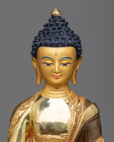 the buddha shakyamuni 