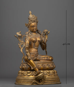 tara-arya