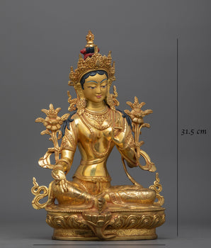 The Compassionate Protector