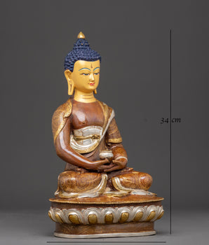 Serene Statue of Buddha Amitabha | Ruler of the Pure Land