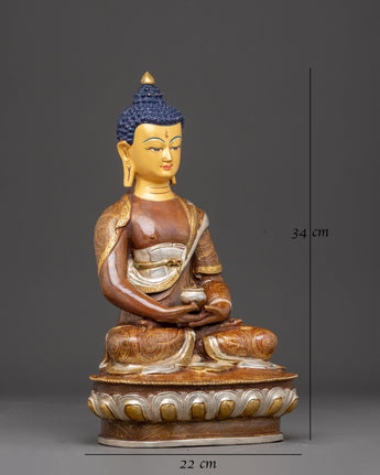 Serene Statue of Buddha Amitabha | Ruler of the Pure Land