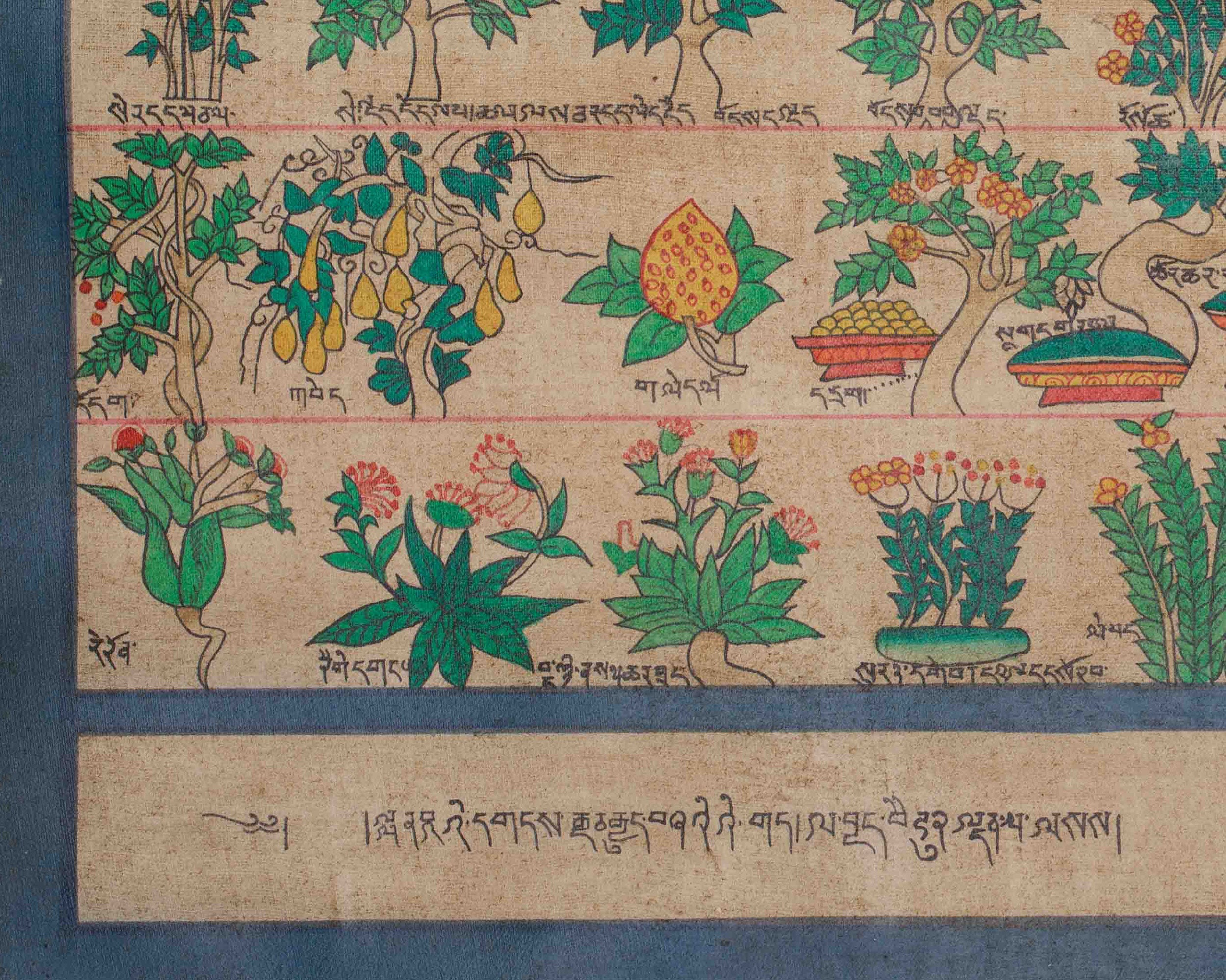 Himalayan Medical Plants Thangka | Symbolizing Natural Medicine, Spiritual Wellness, and Herbal Protection | Nature's Sacred Gifts