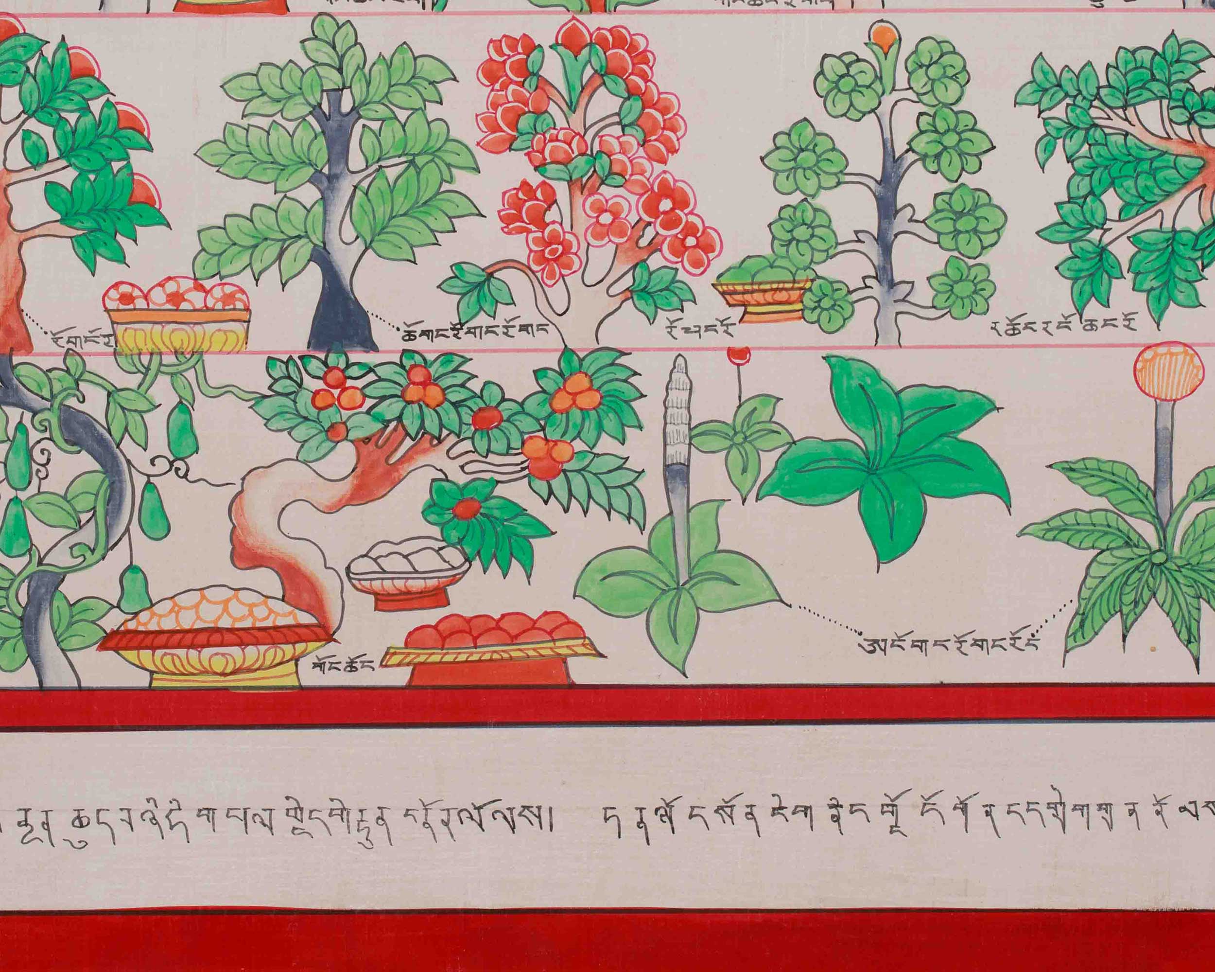 Medicine Buddha Healing Plants Thangka | Botanical Thangka