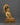 historical-buddha-siddhartha-gautama