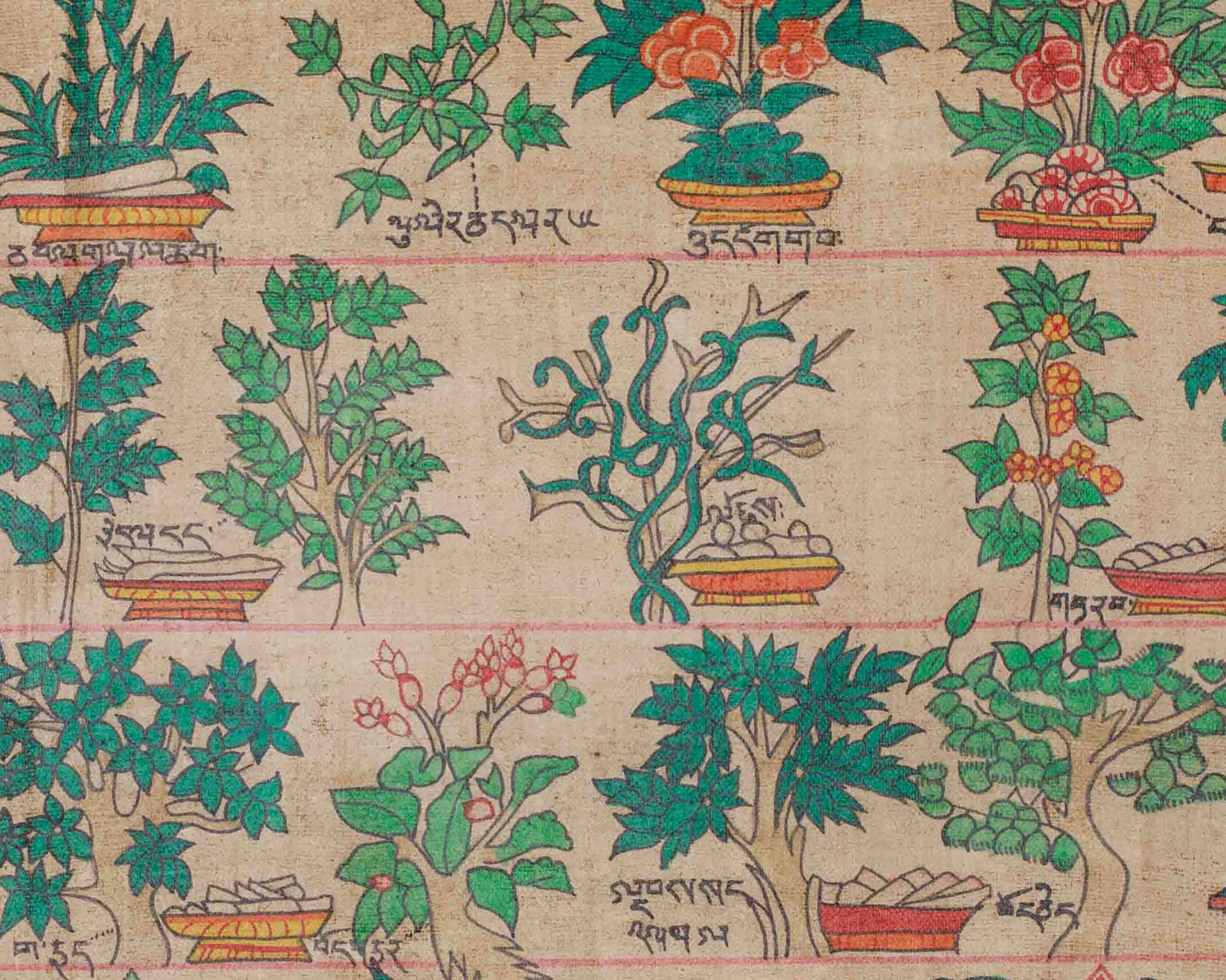 Himalayan Medical Plants Thangka | Symbolizing Natural Medicine, Spiritual Wellness, and Herbal Protection | Nature's Sacred Gifts