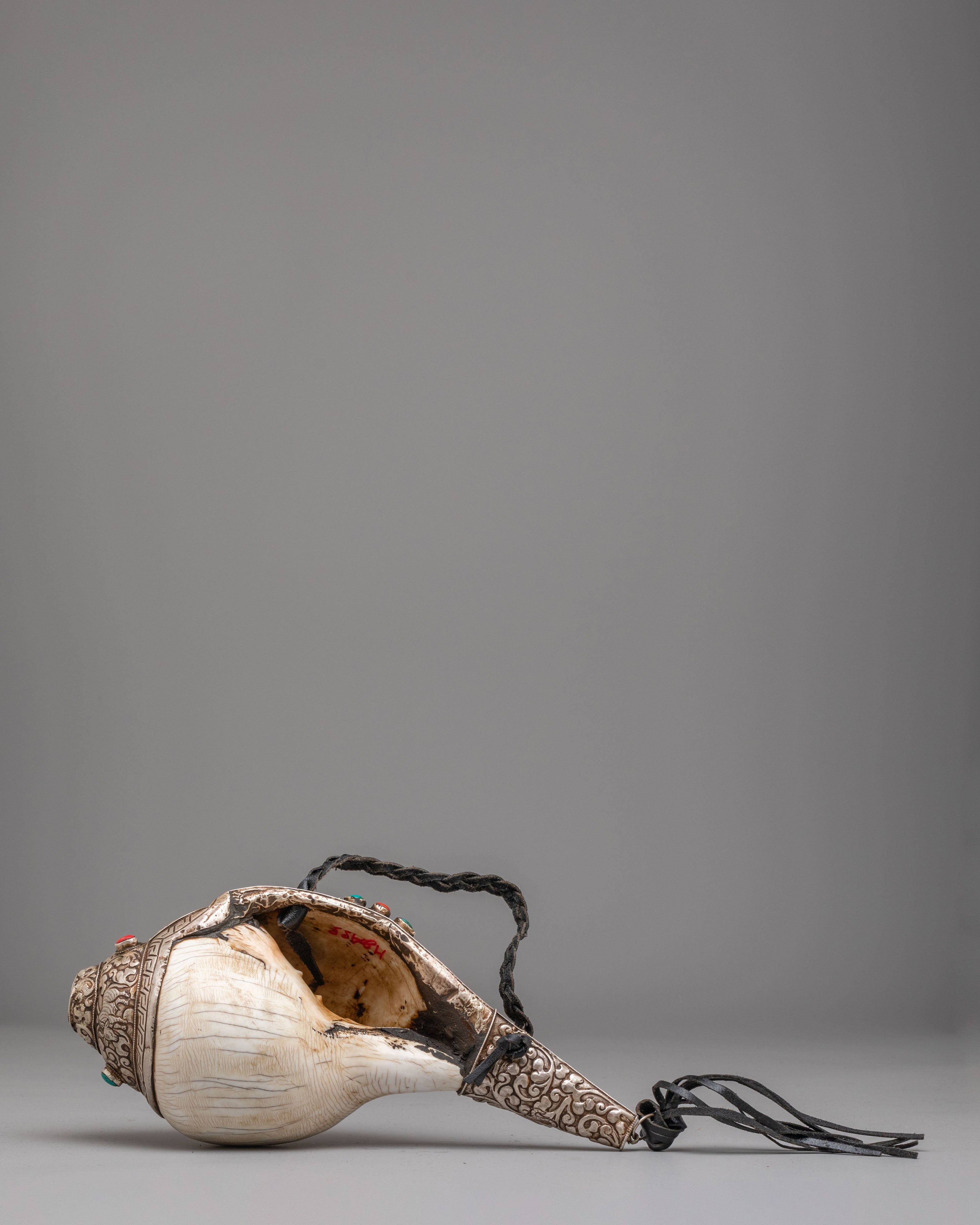Traditional Dharma Conch Shell | Buddhist Ritual Object for Meditation