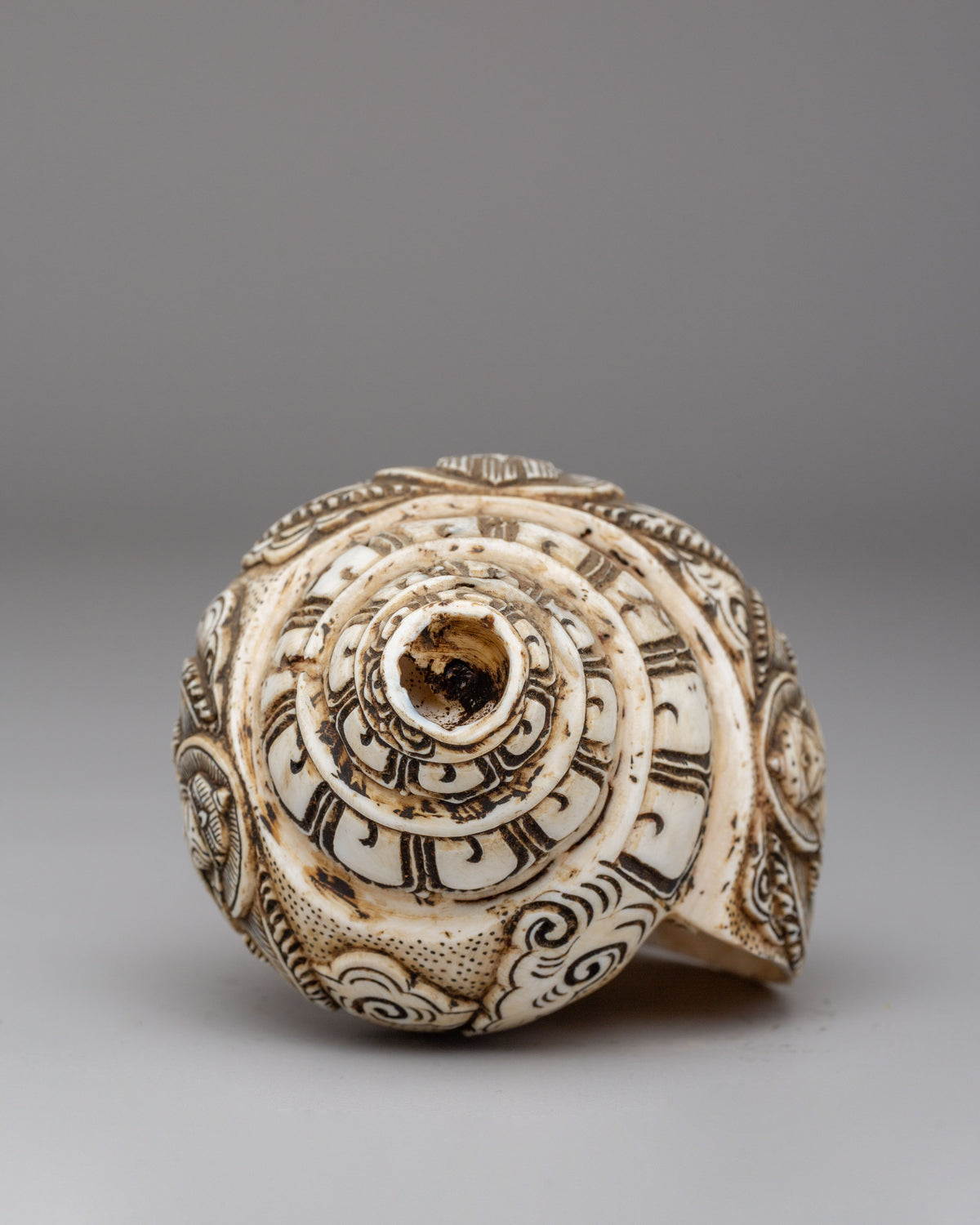 Handcrafted Ganesha Conch for Rituals | Sacred Offering Shell