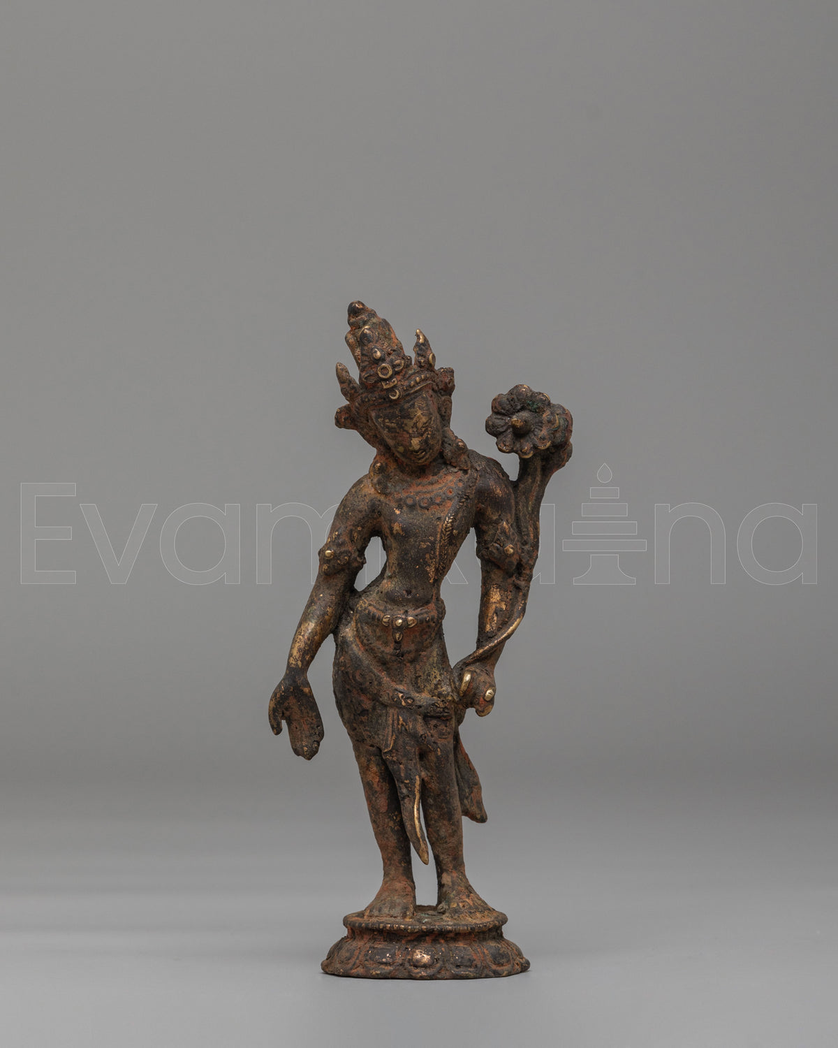 Himalayan Standing Lokeshwor Statue