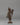 Himalayan Standing Lokeshwor Statue