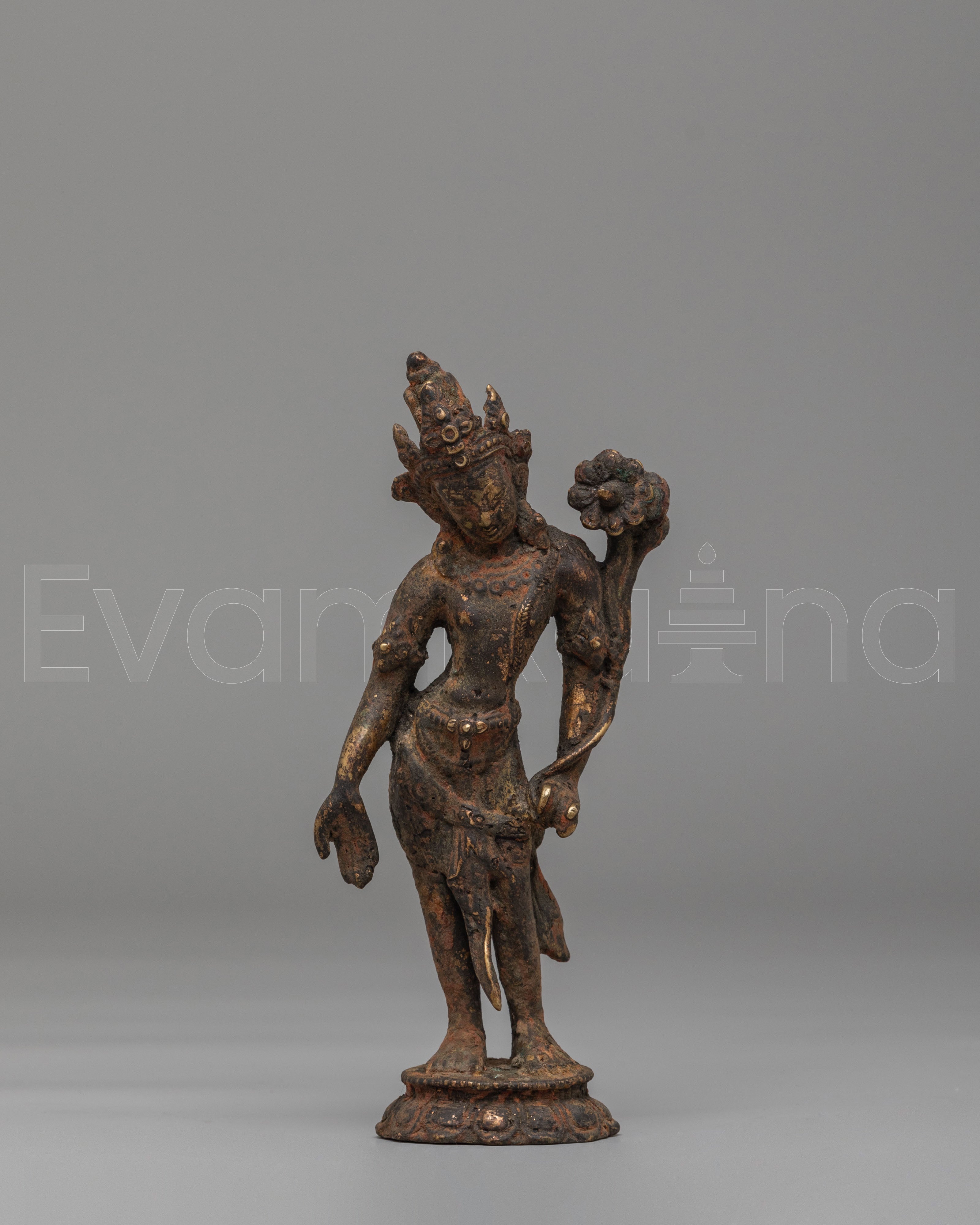 Himalayan Standing Lokeshwor Statue
