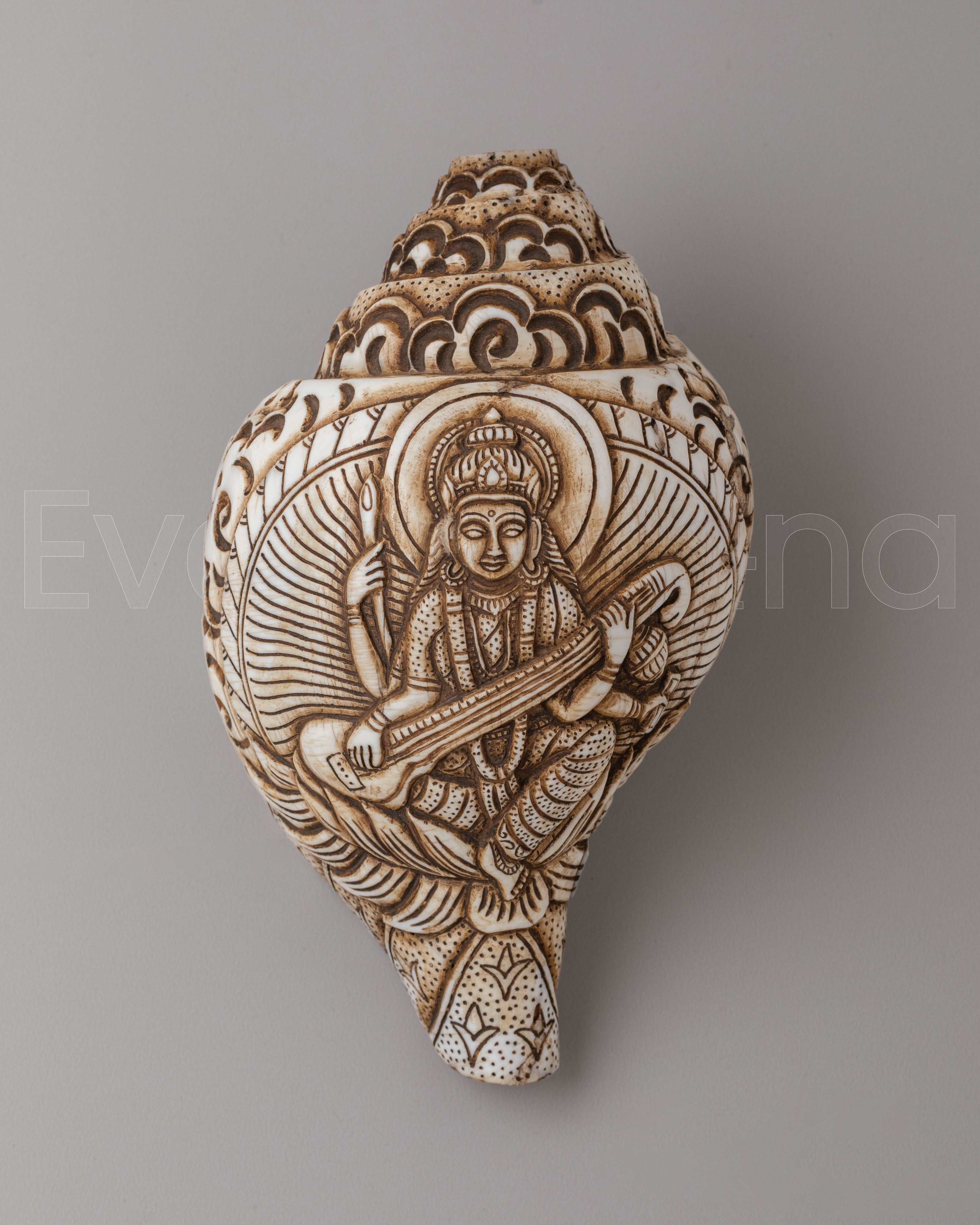 Saraswati Carved Conch