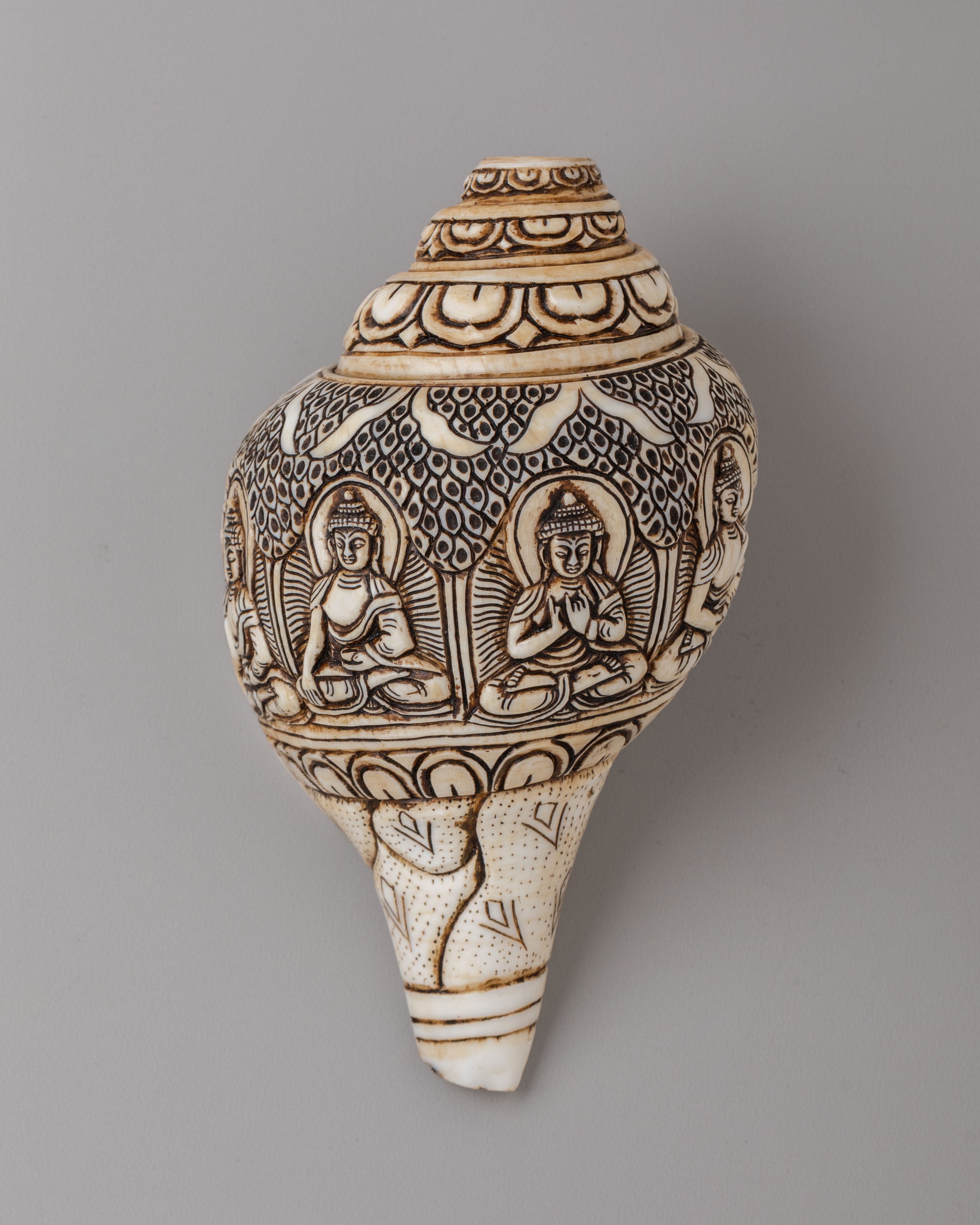Himalayan Buddhist Conch | Symbol of Dharma and Enlightenment