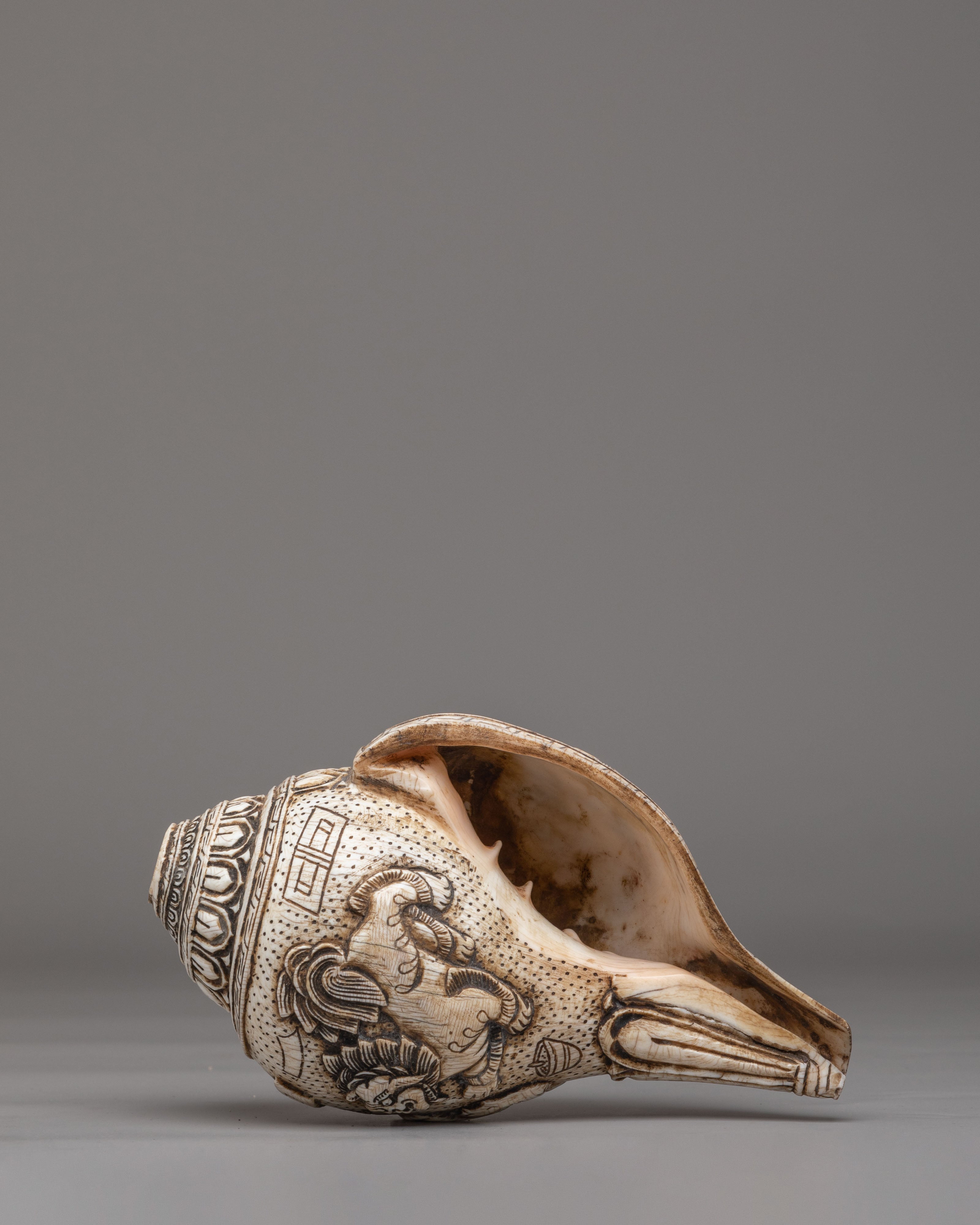 Traditional Ritual Conch | Tibetan Conch Shell for Ceremonies & Meditation