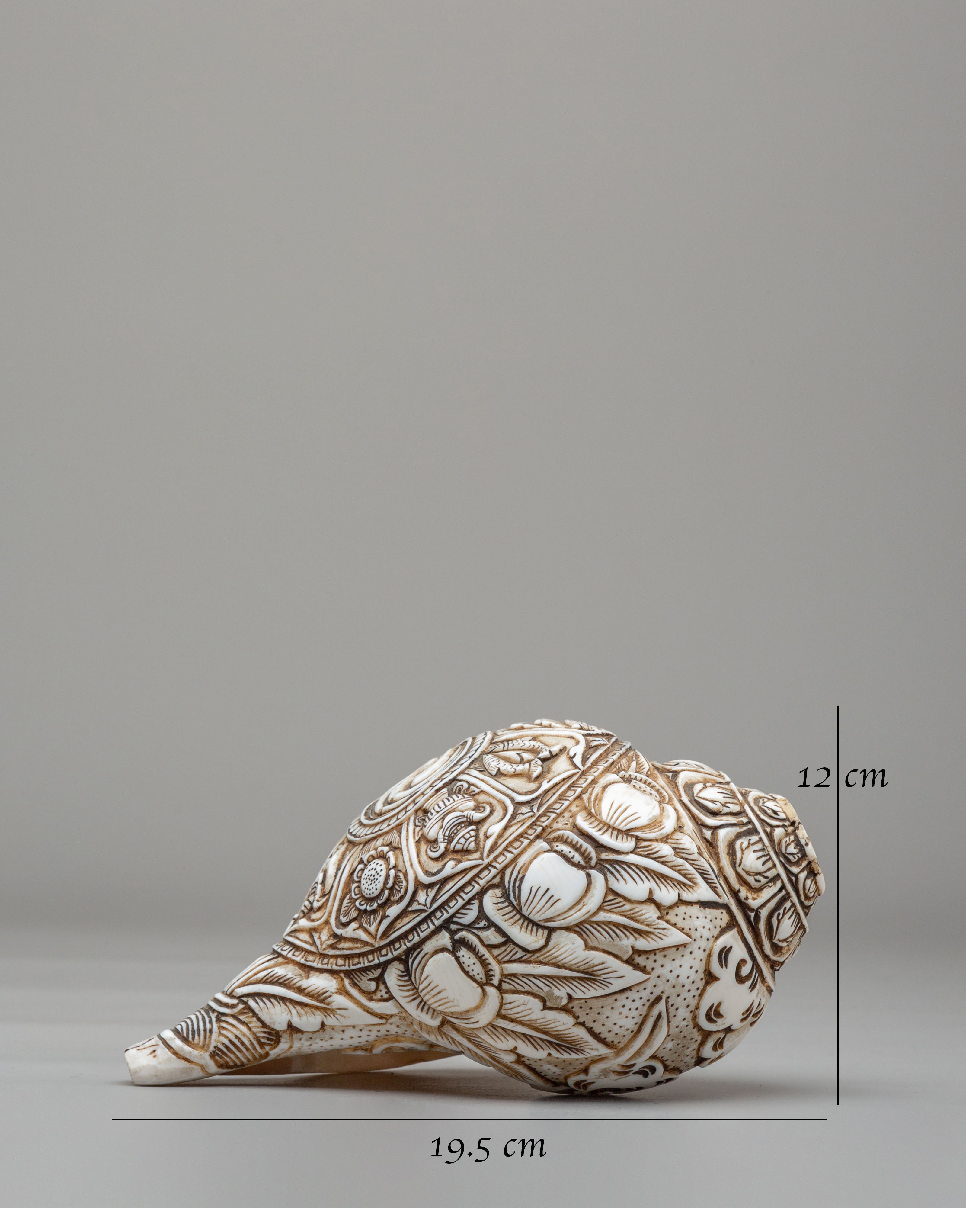 Auspicious Symbol Carved Conch | Perfect for Meditation & Spiritual Practices