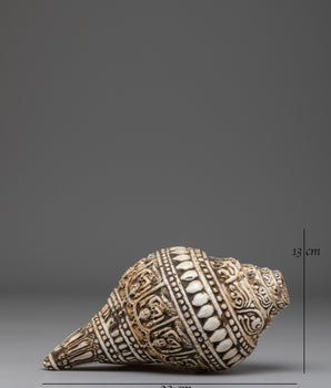 Hand Carved Tibetan Conch Shell | Sacred Sound Conch for Meditation