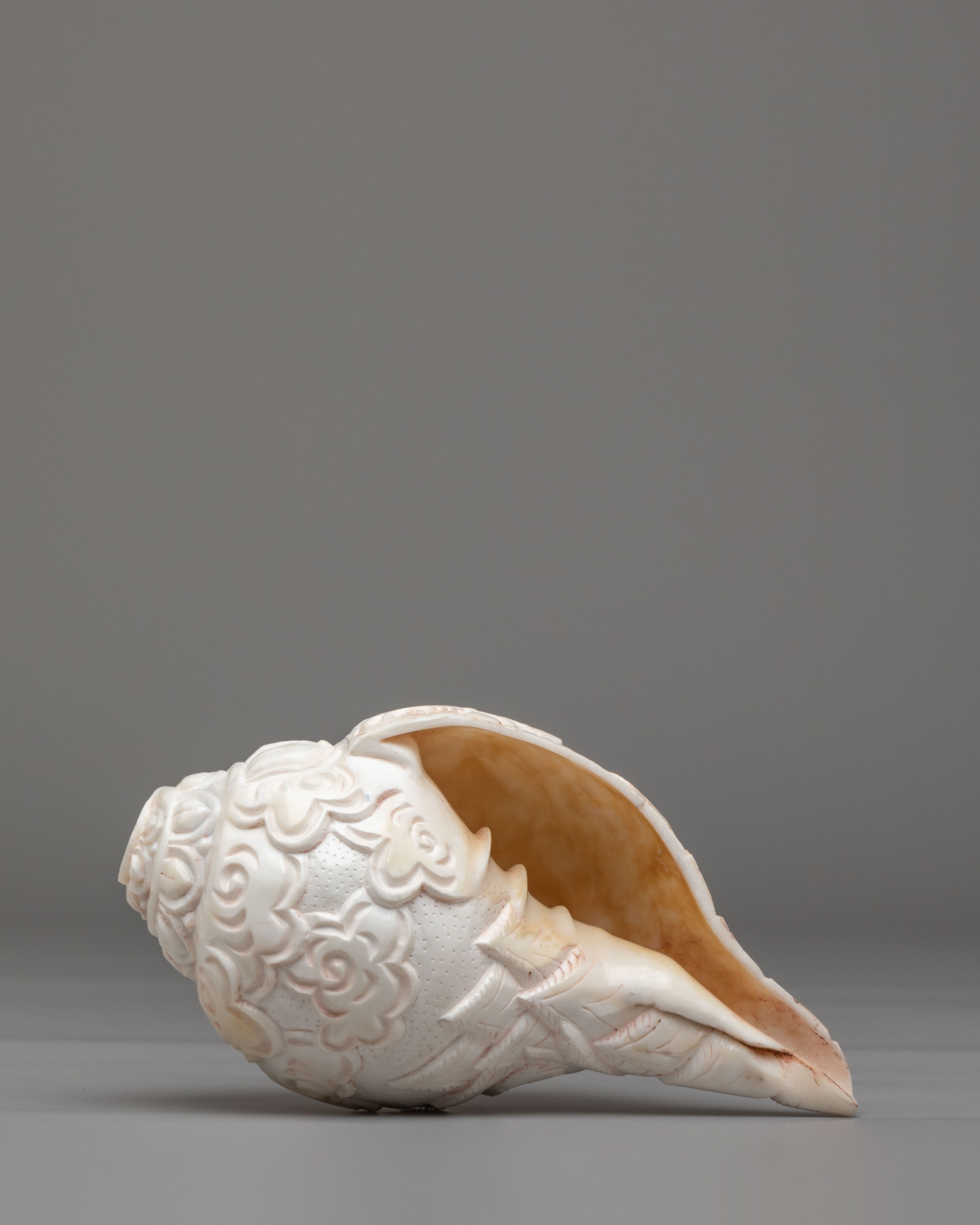 Lord Shiva Ritual Conch Shell | Spiritual Home Decor