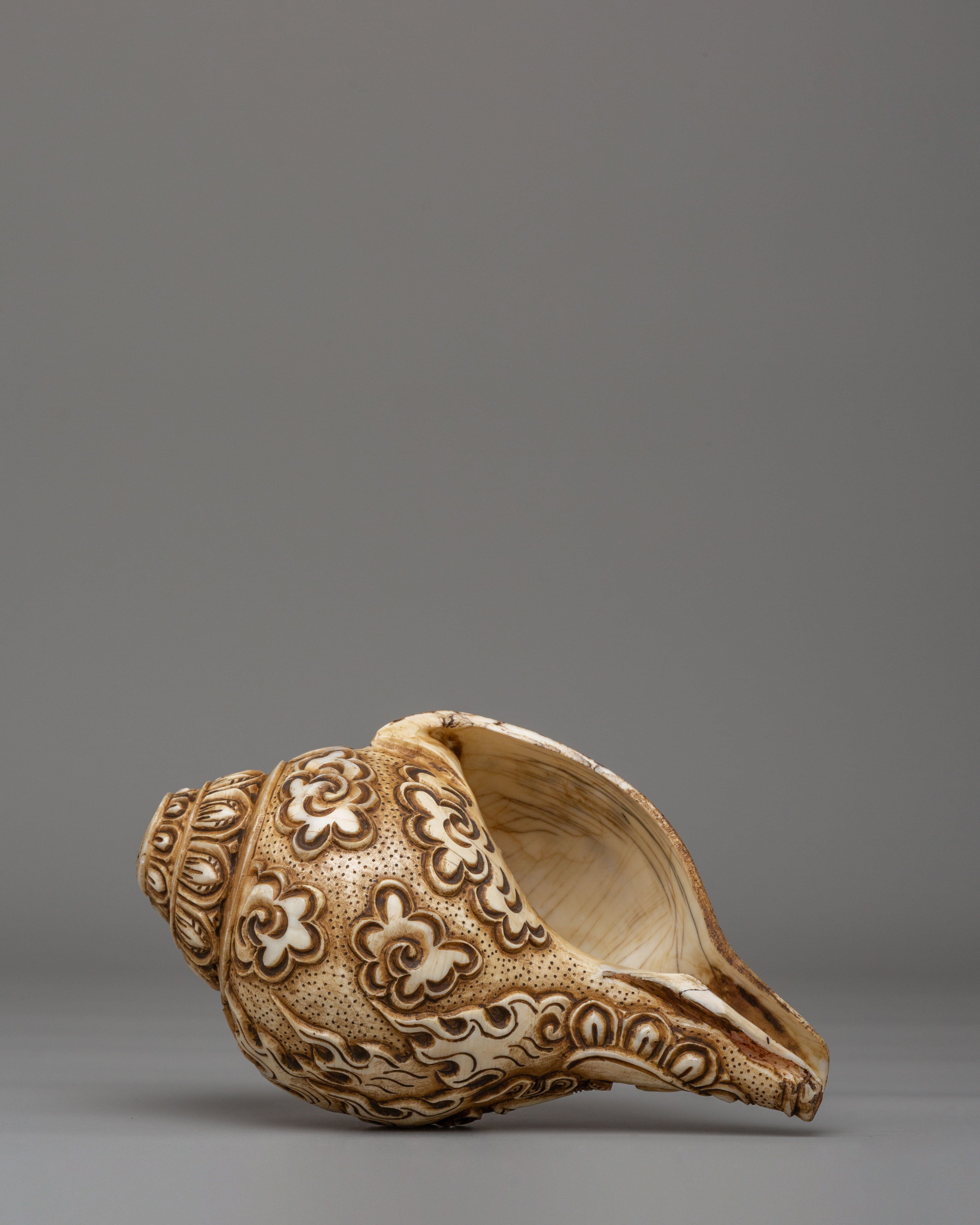 Spiritual Chittipati Conch | Tibetan Ritual Conch Shell