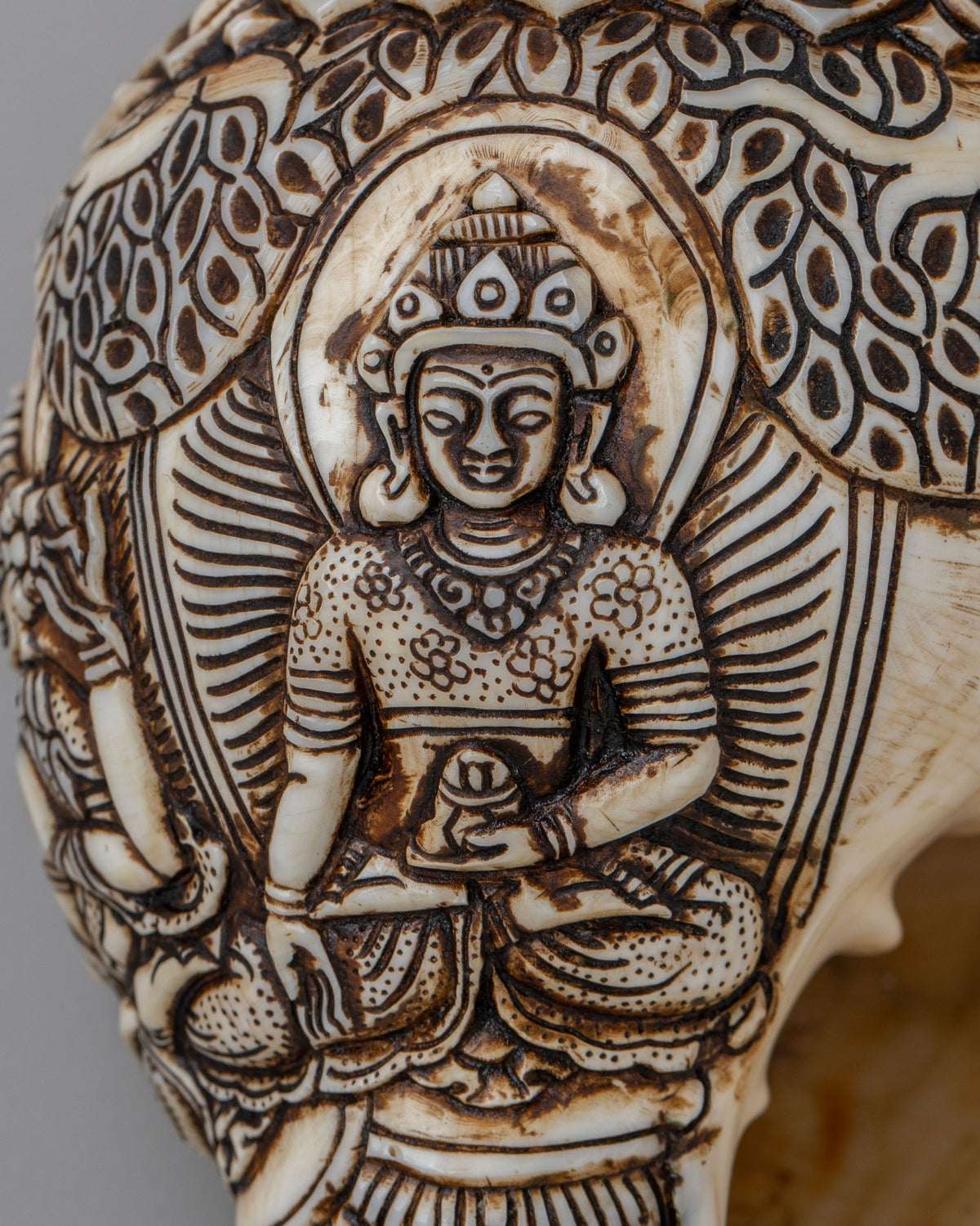 Tibetan Buddhist Sacred Conch | Meditation Tool