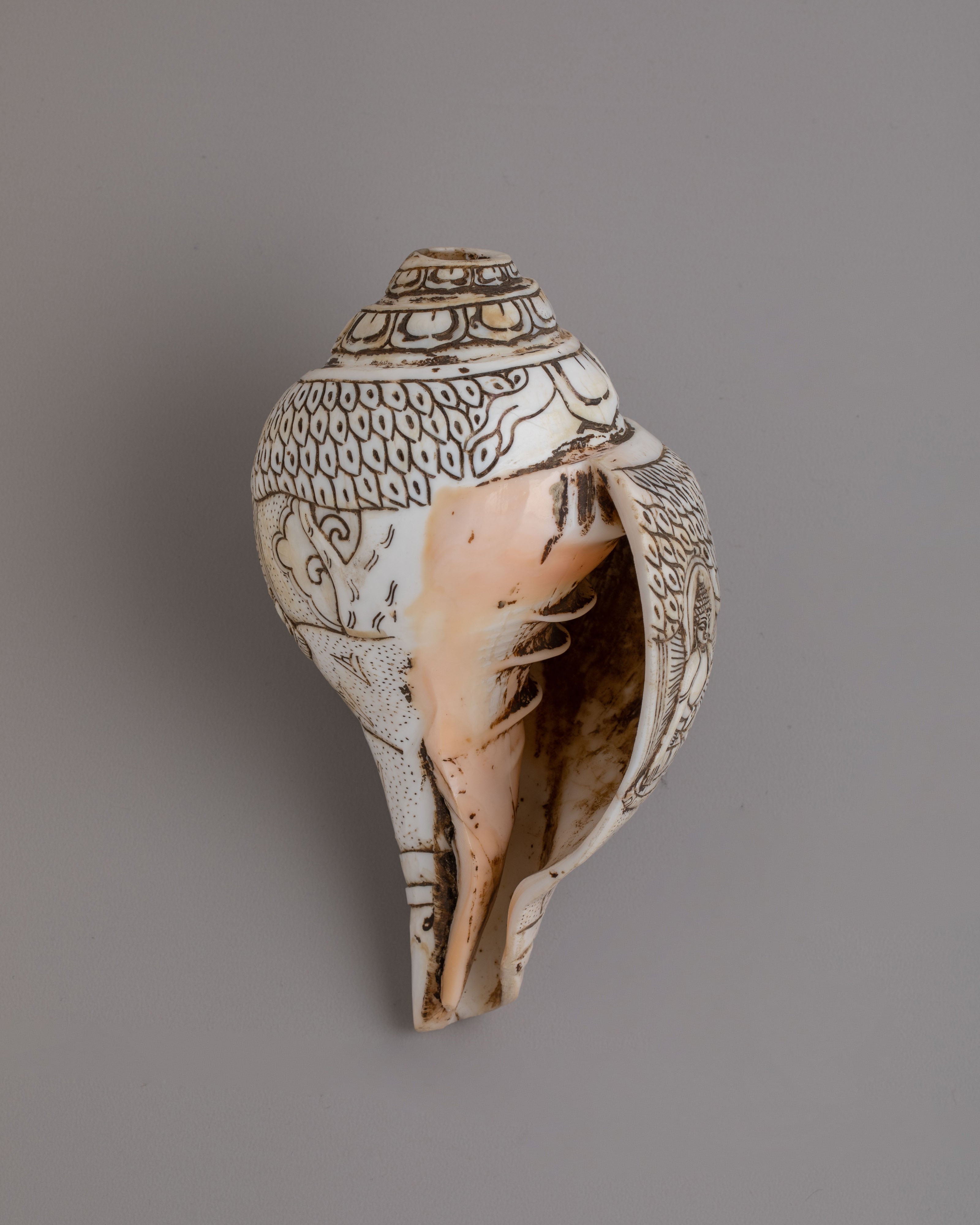 Dhyani Buddha Engraved Conch | Perfect for Rituals