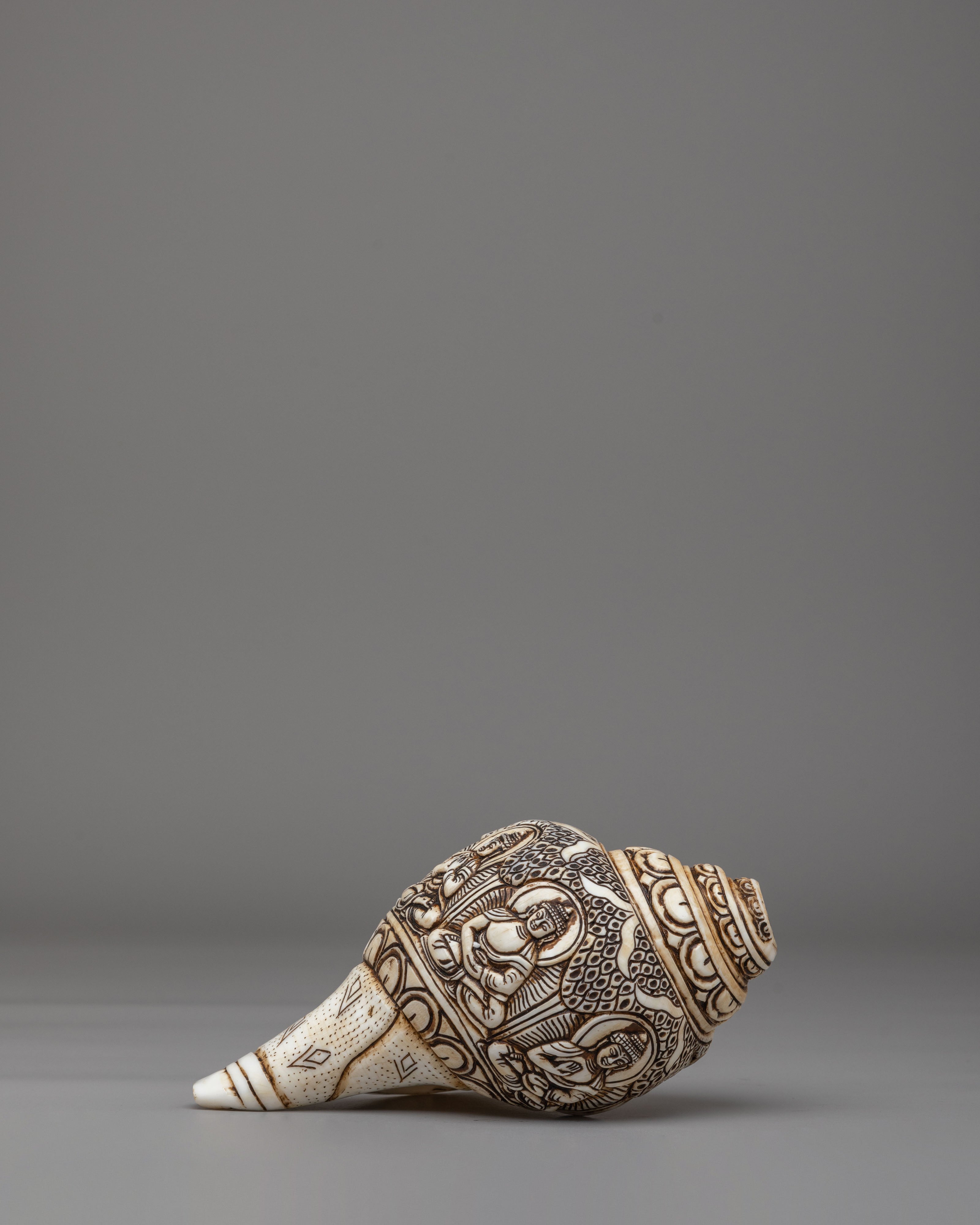 Himalayan Buddhist Conch | Symbol of Dharma and Enlightenment
