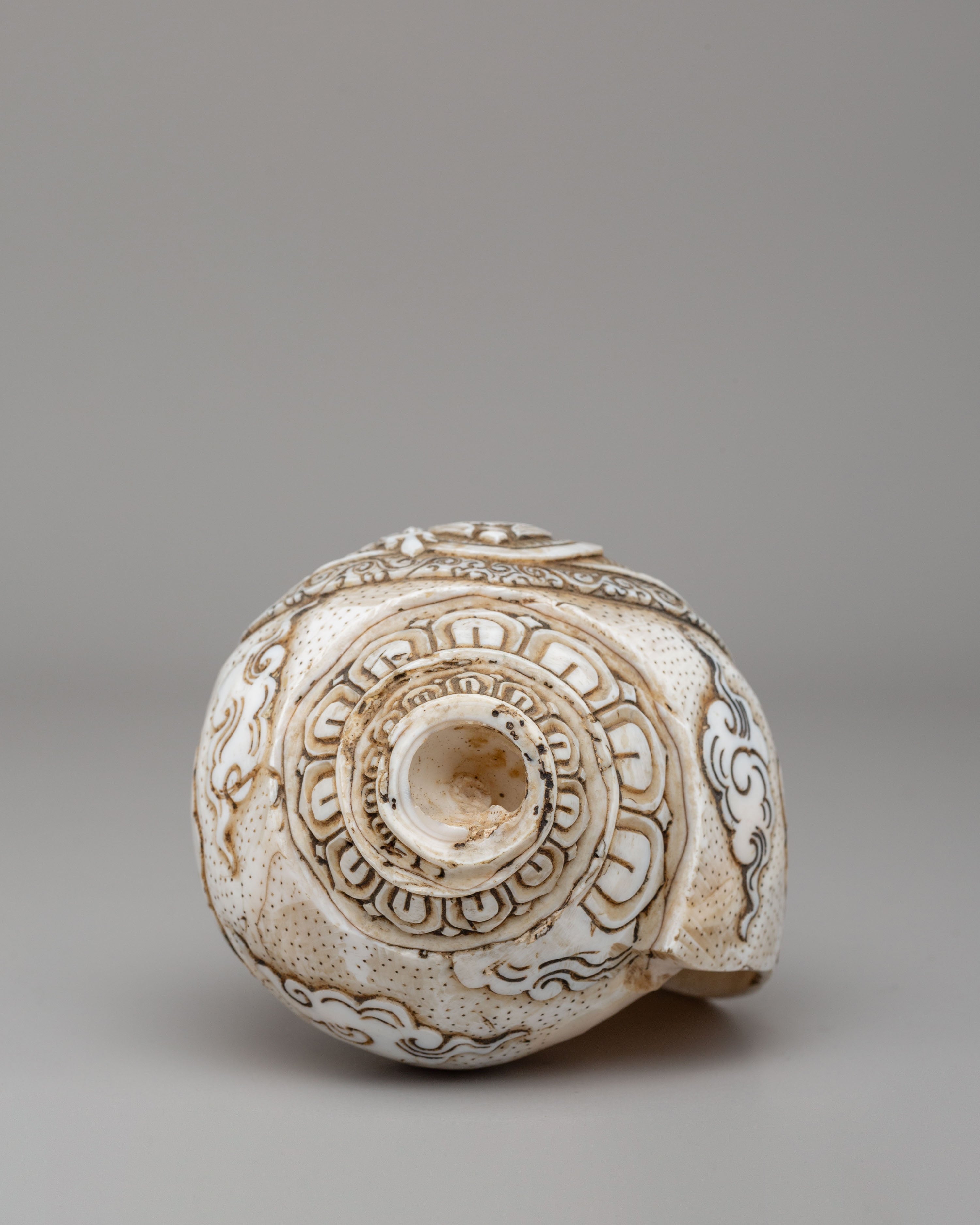 Guru Rinpoche Ritual Conch | Handcrafted Tibetan Conch for Sacred Ceremonies