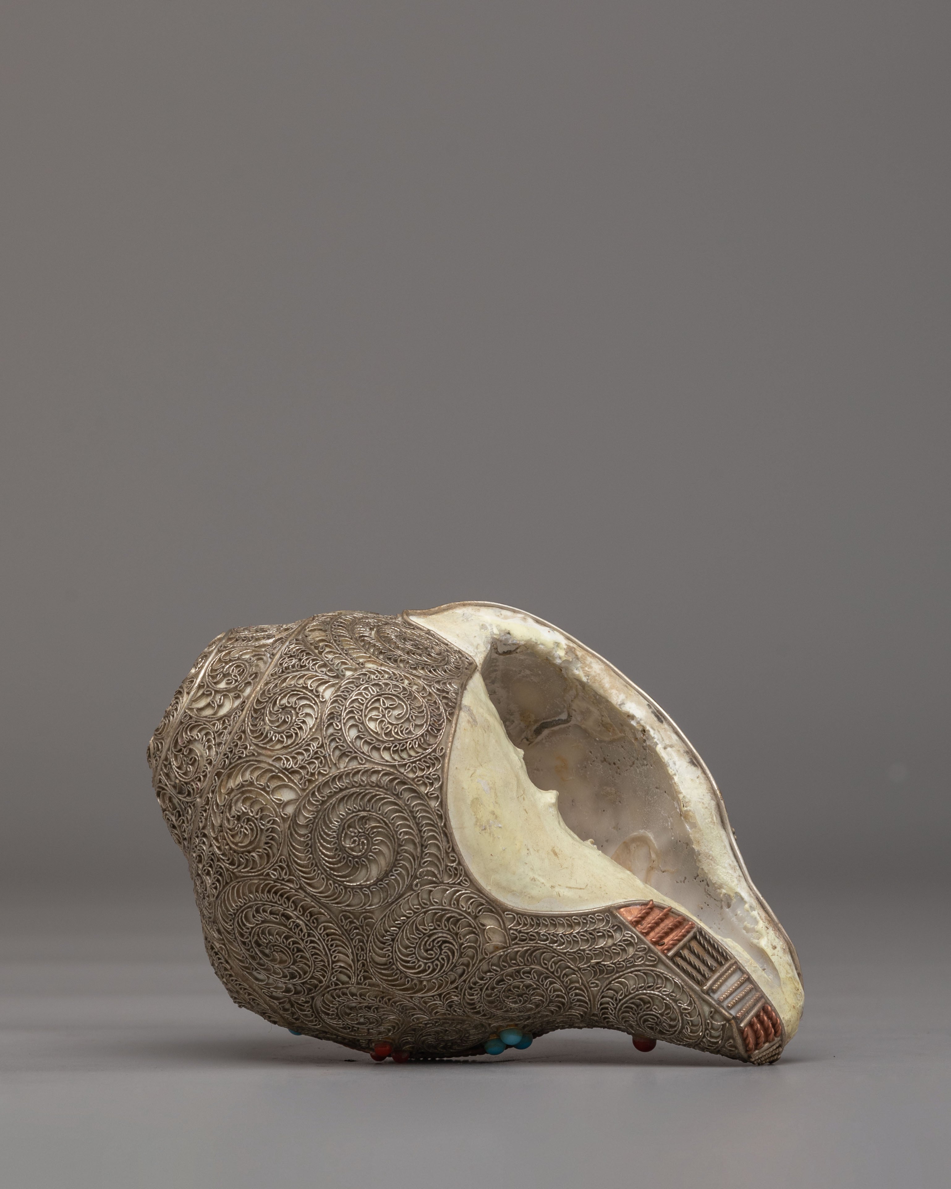 Traditional Ritual Conch | Conch Shell for Spiritual Practice